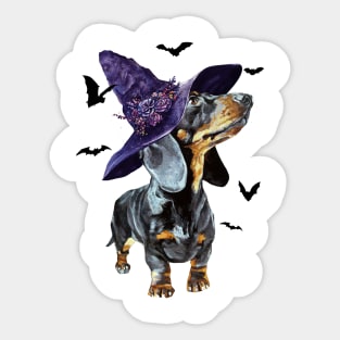 Halloween Witch Dachshund Funny Halloween Gifts Sticker